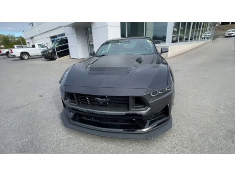 2024 Ford Mustang - 21407 Image 3