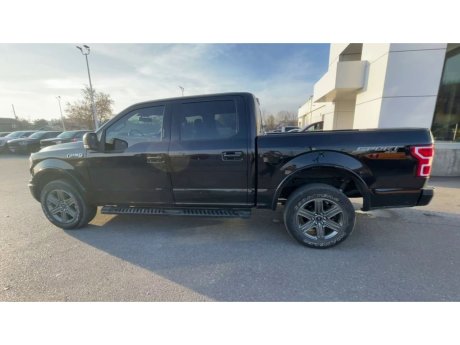 2020 Ford F-150 - 21381A Image 6
