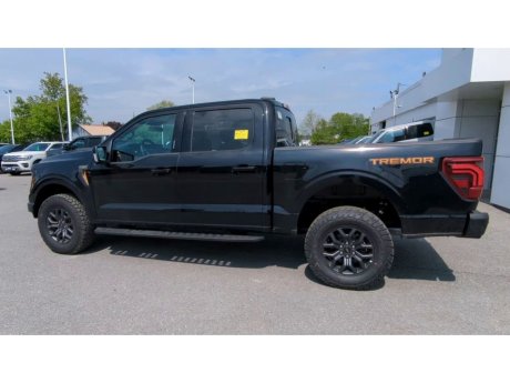 2024 Ford F-150 - 21880 Image 6