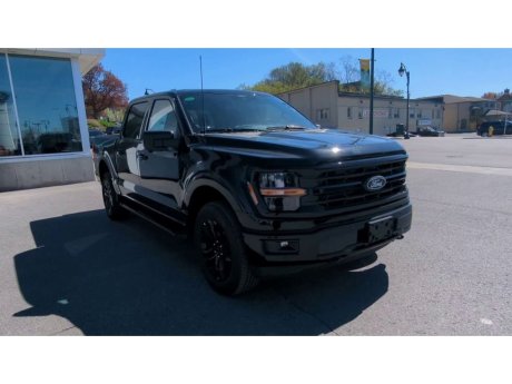 2024 Ford F-150 - 21907 Image 3