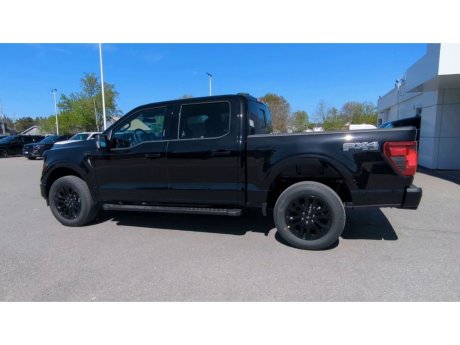 2024 Ford F-150 - 21907 Image 6