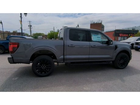 2024 Ford F-150 - 21901 Image 9