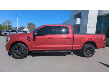 2021 Ford F-150 - 21674A Image 5