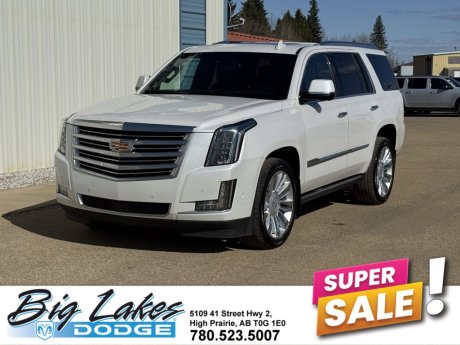 2019 Cadillac Escalade Platinum-NAV-Sunroof-Heated Leather Seats-Heads up Display-3 
