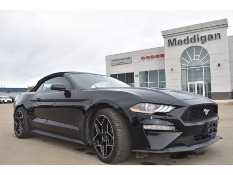 2023 Ford Mustang Ecoboost 