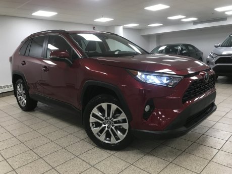 2019 Toyota RAV4 XLE 