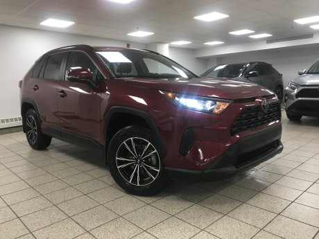 2020 Toyota RAV4 LE 