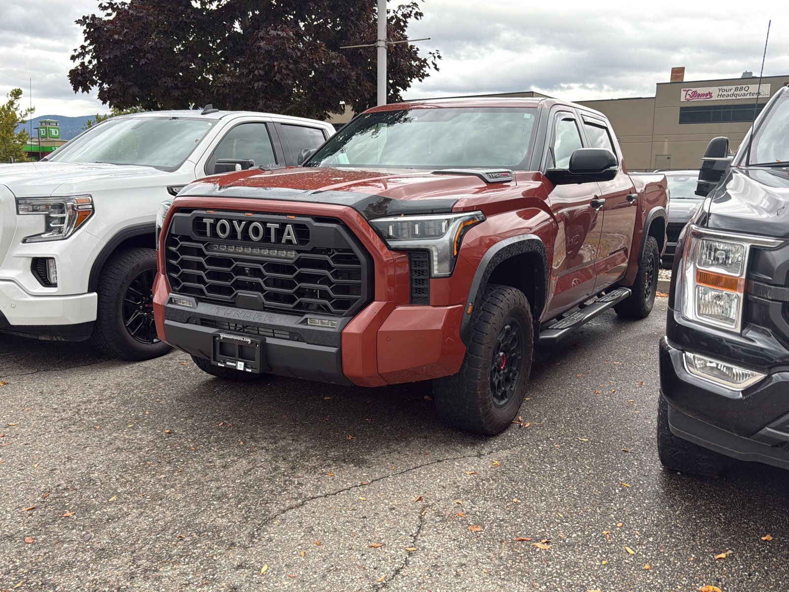Terra 2024 Toyota Tundra Hybrid Pickup Truck Four-Wheel Drive Automatic
