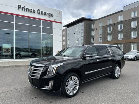 2019 Cadillac Escalade ESV Platinum 