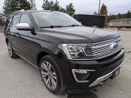 2020 Ford Expedition Platinum 
