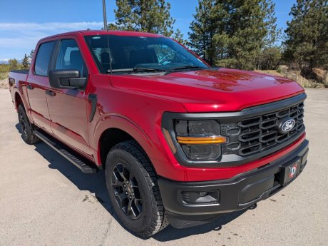 2025 Ford F-150 STX Supercrew 4x4 + GET 0% UP TO 72 MONTHS! 