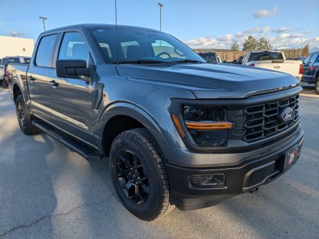 2025 Ford F-150 STX Supercrew 4x4 + GET 0% UP TO 72 MONTHS! 