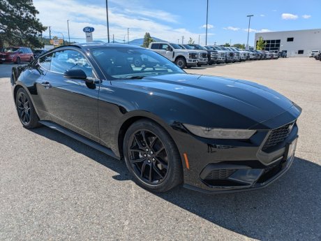 2024 Ford Mustang Ecoboost Premium Coupe w/ Nite Pony Package! 