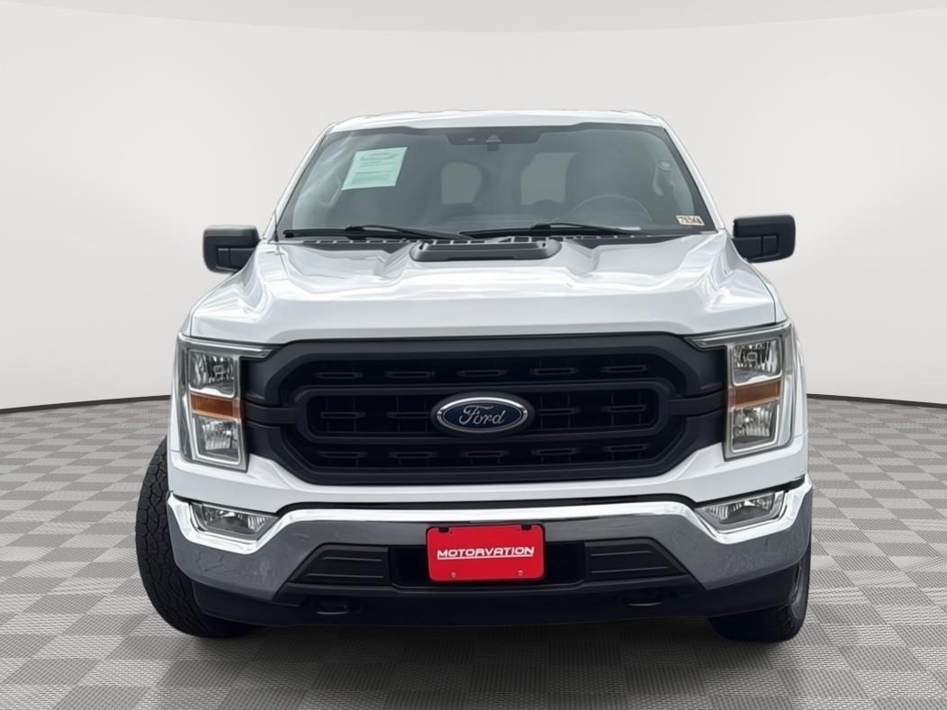 2021 Ford F-150 XL photo 8