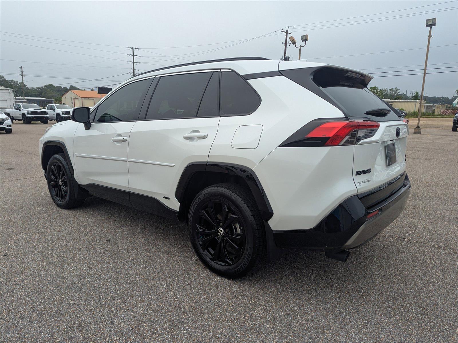 2024 Toyota RAV4 Hybrid SE photo 2