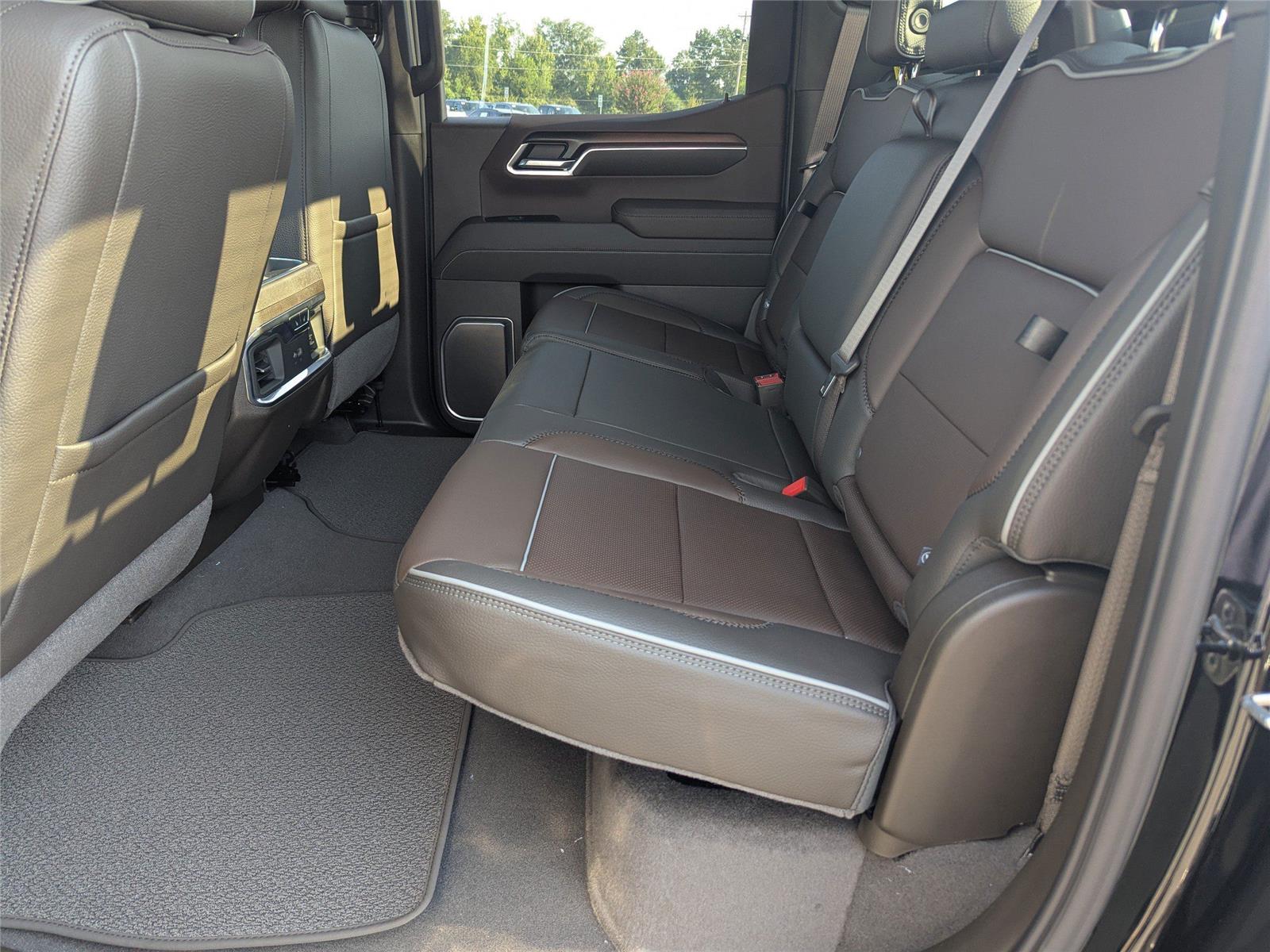 2026 Gmc Sierra 1500 Denali photo 13