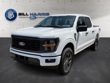 2025 Ford F-150 STX  Truck