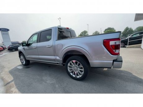 2023 Ford F-150 - 20812 Image 6