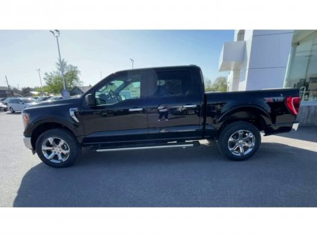 2023 Ford F-150 - 20917 Image 5