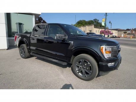 2023 Ford F-150 - 21019 Image 2