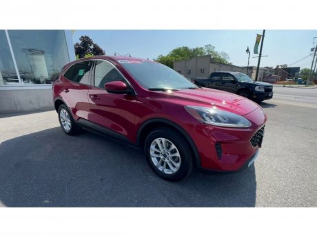 2020 Ford Escape - P21058 Image 2