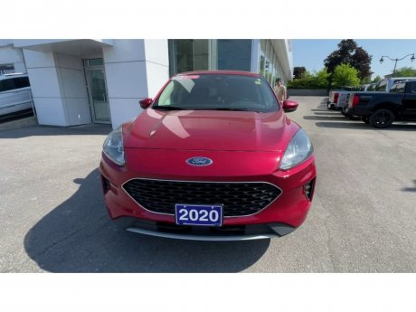 2020 Ford Escape - P21058 Image 3