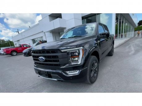 2023 Ford F-150 - 21172 Image 3