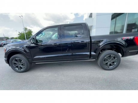 2023 Ford F-150 - 21172 Image 5