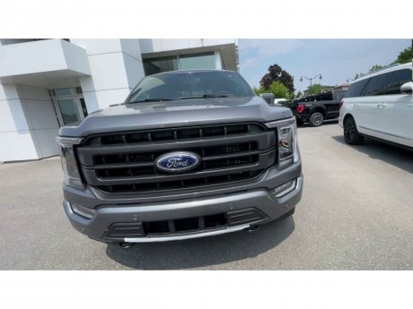 2023 Ford F-150 - 21145 Image 3