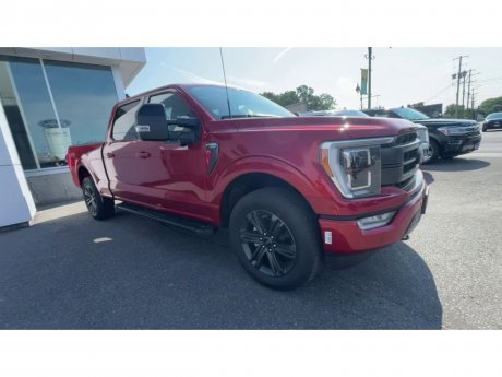 2023 Ford F-150 - 21208 Image 2