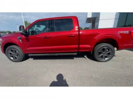 2023 Ford F-150 - 21208 Image 5