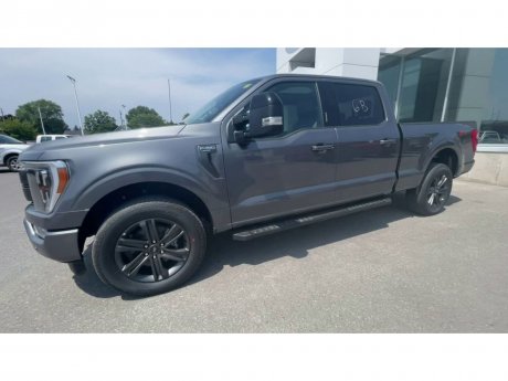 2023 Ford F-150 - 21209 Image 4