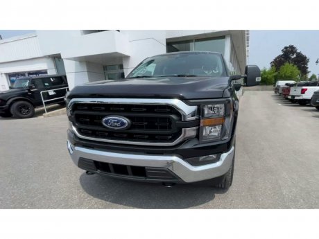 2023 Ford F-150 - 21195 Image 3
