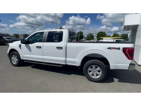 2023 Ford F-150 - 21276 Image 6
