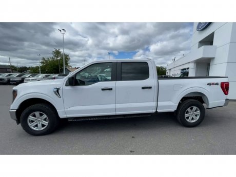 2023 Ford F-150 - 21277 Image 5
