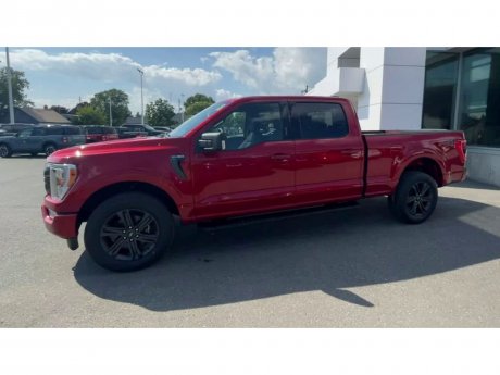 2023 Ford F-150 - 21257 Image 5