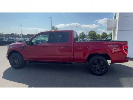 2023 Ford F-150 - 21257 Image 6