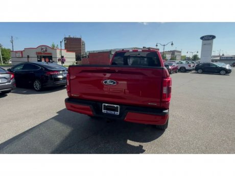 2023 Ford F-150 - 21257 Image 8