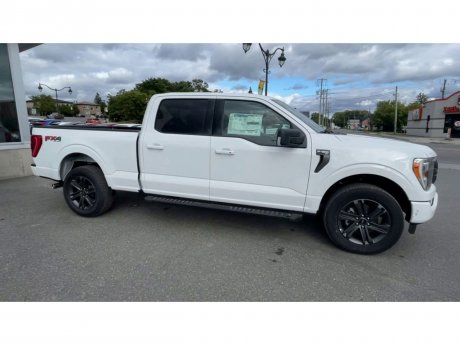 2023 Ford F-150 - 21253 Image 2