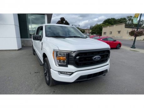 2023 Ford F-150 - 21253 Image 3