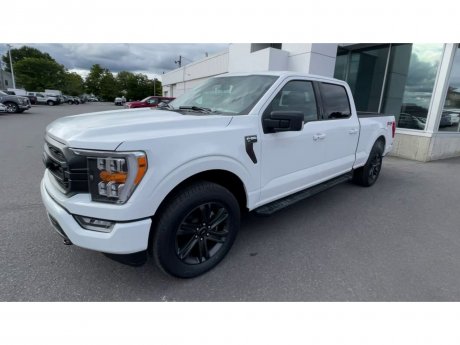 2023 Ford F-150 - 21253 Image 4