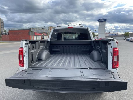 2023 Ford F-150 - 21253 Image 23