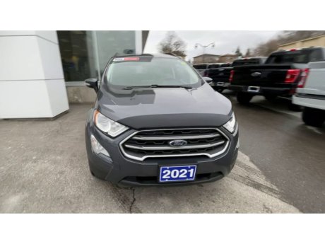 2021 Ford EcoSport - 21153A Image 3