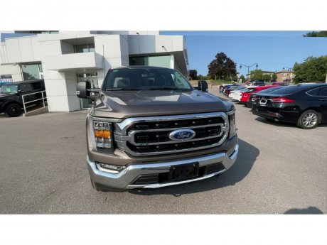 2023 Ford F-150 - 21300 Image 3
