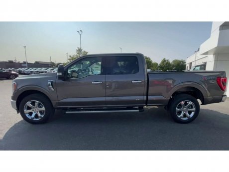 2023 Ford F-150 - 21300 Image 5