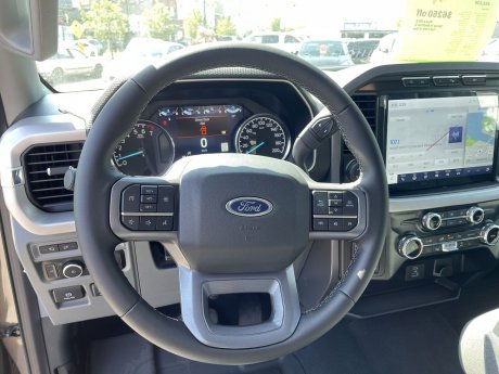 2023 Ford F-150 - 21300 Image 14