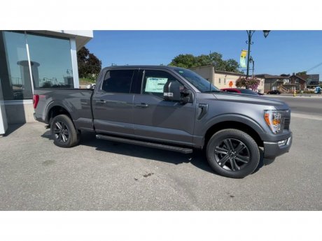 2023 Ford F-150 - 21304 Image 2