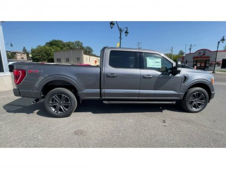 2023 Ford F-150 - 21304 Image 9