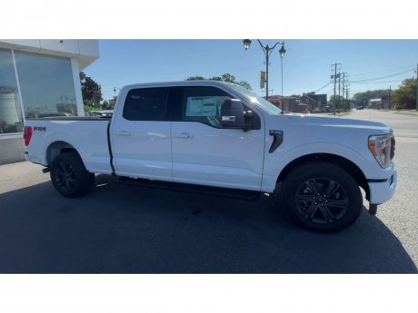 2023 Ford F-150 - 21288 Image 2