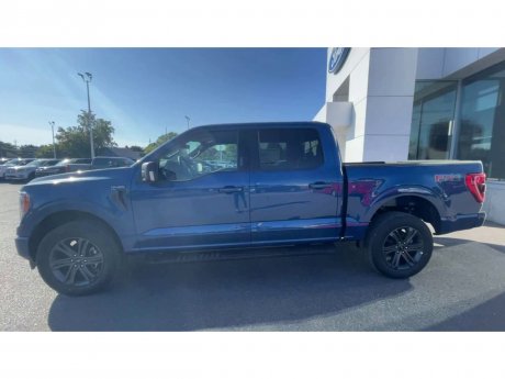 2023 Ford F-150 - 21328 Image 5